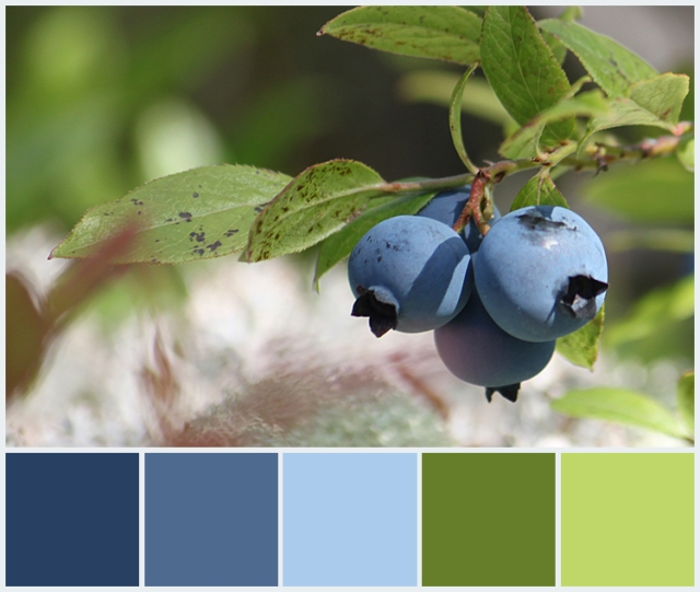 Blueberries Color Palette
